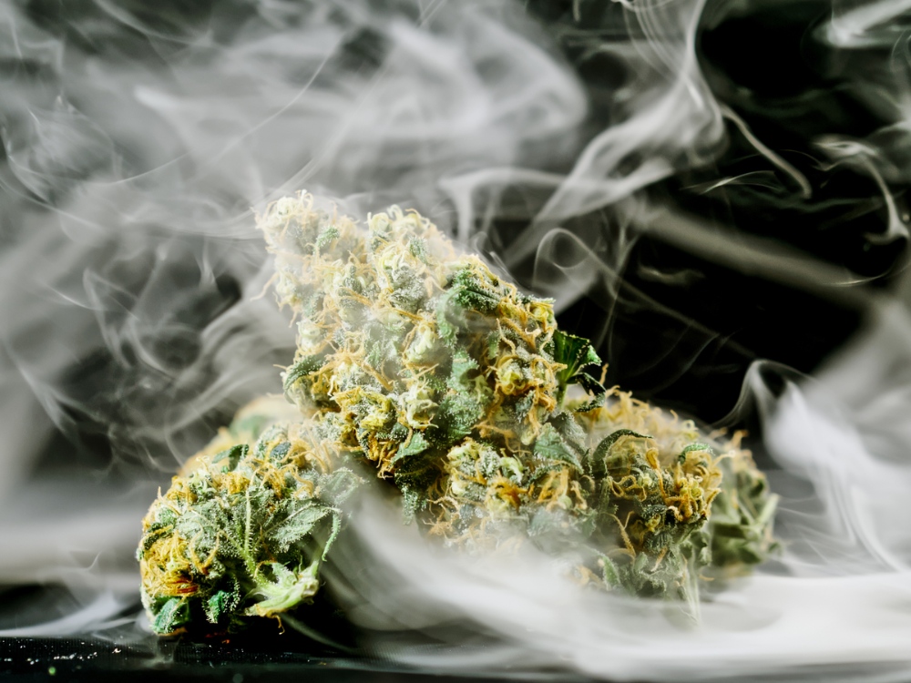 Beginner’s Guide to Smoking Cannabis: Everything You Need to Know