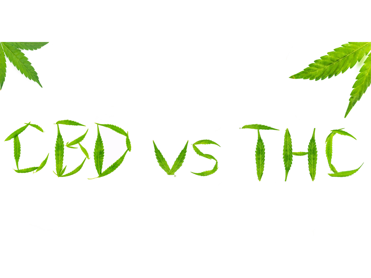 thc vs cbd